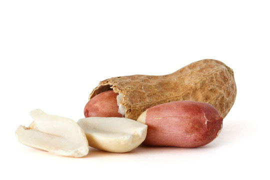 Groundnut (Peanut)